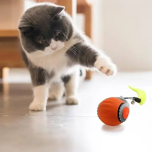 Interactive Cat Chase Ball