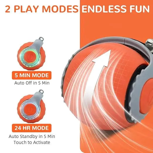 Interactive Cat Chase Ball