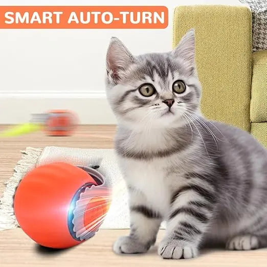 Interactive Cat Chase Ball