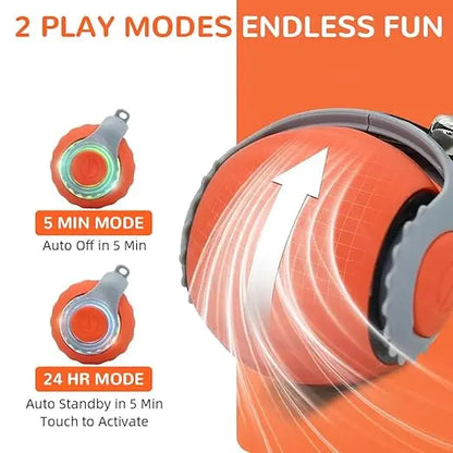 Interactive Cat Chase Ball