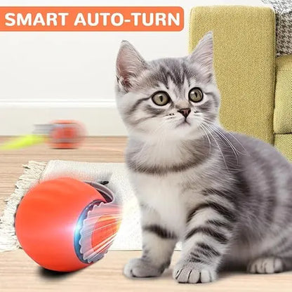 Interactive Cat Chase Ball