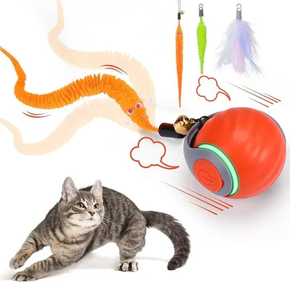 Interactive Cat Chase Ball